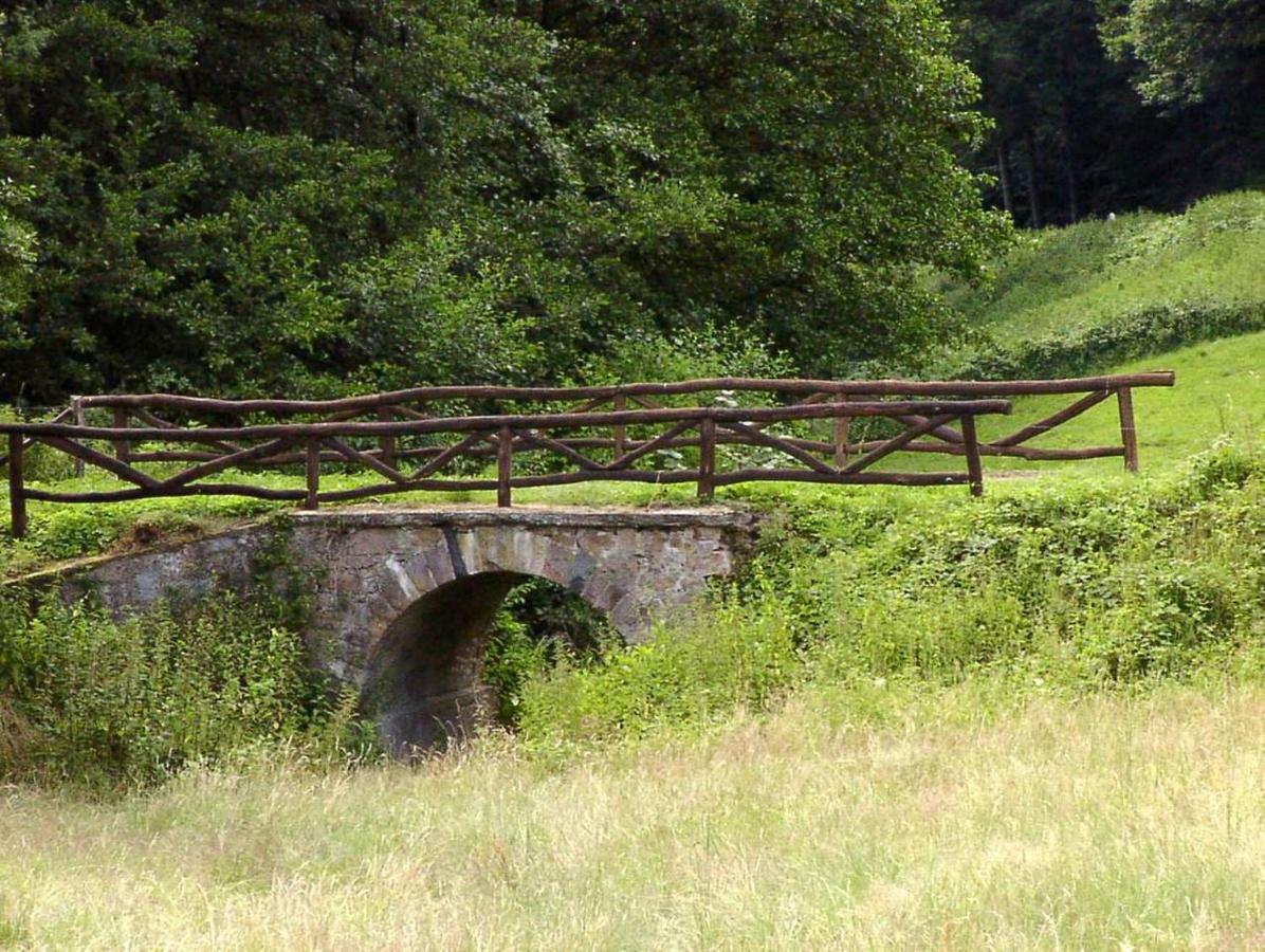 Schoenblick - Gemuetlich Uebernachten! Ober-Hambach Exteriér fotografie