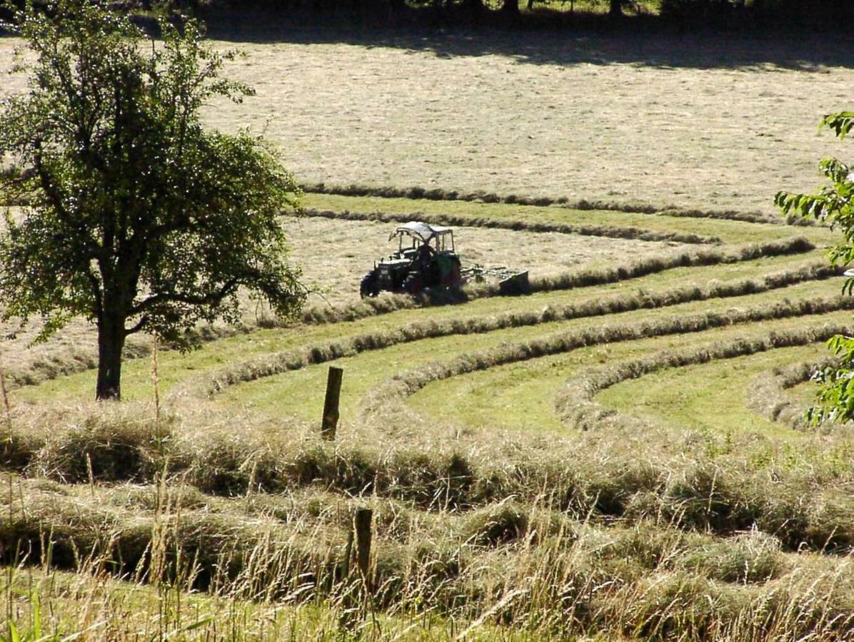 Schoenblick - Gemuetlich Uebernachten! Ober-Hambach Exteriér fotografie